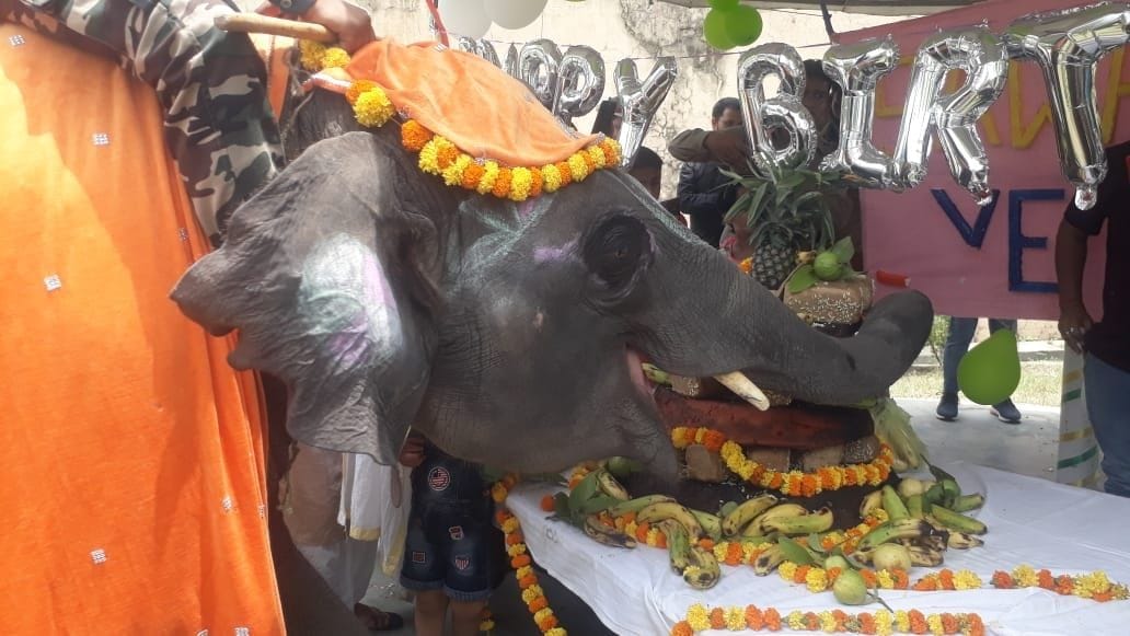 Natkhat Hathi celebrated the third birthday of Sawan