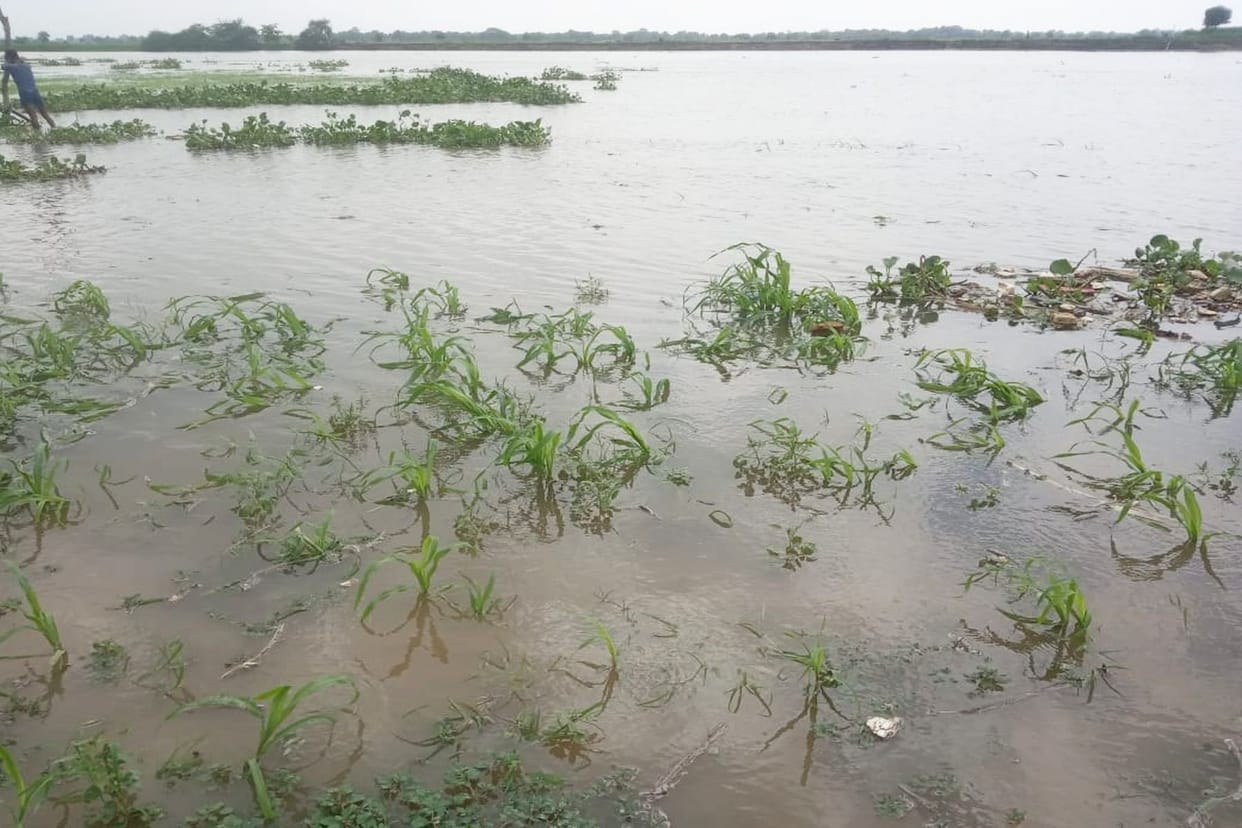 firozabad news, tundla news,  farmers,  water increase in Yamuna,  water level increase in yamuna