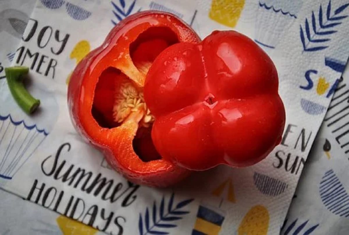 how to boost immunity power food for immunity boost