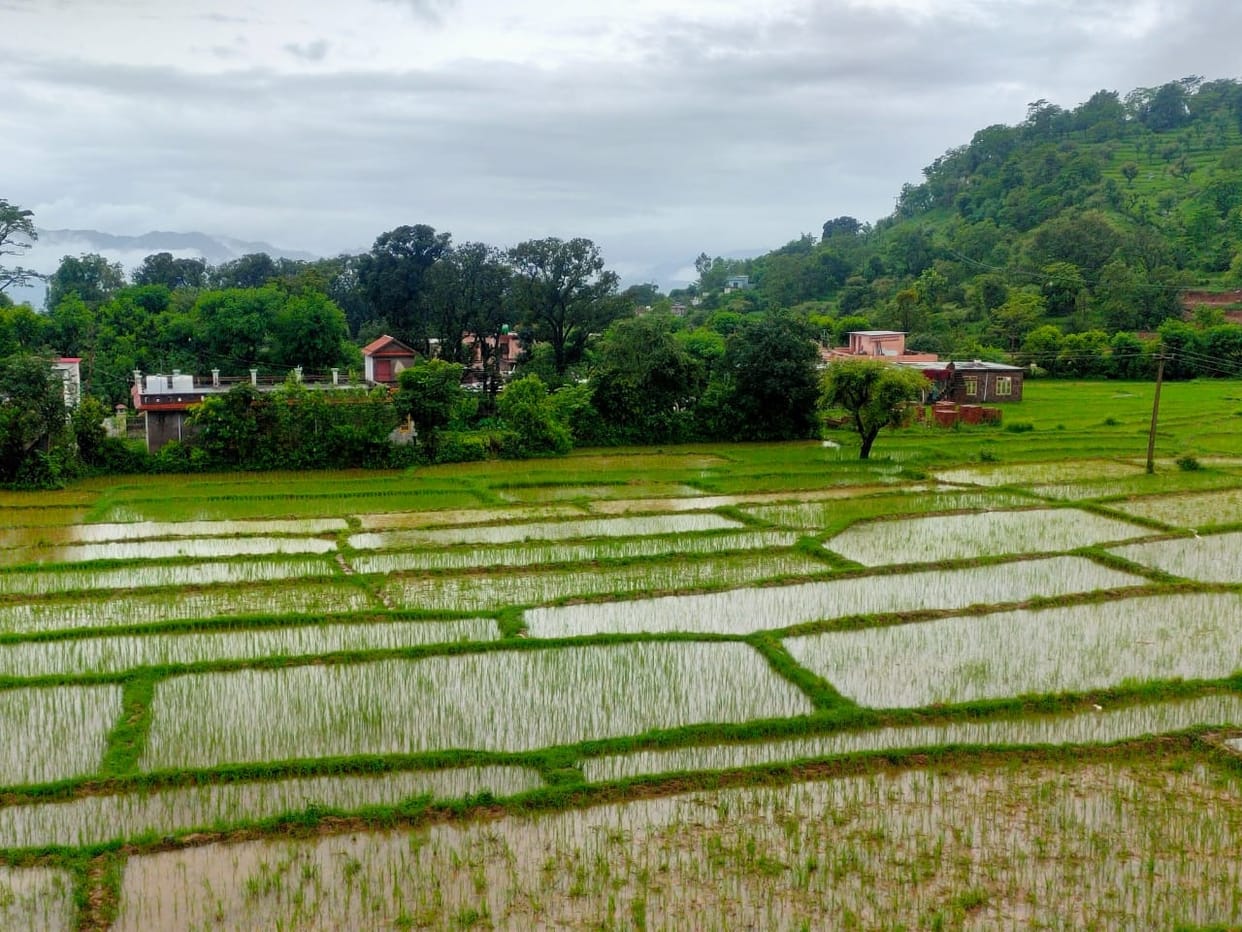 Heavy rainfall problem