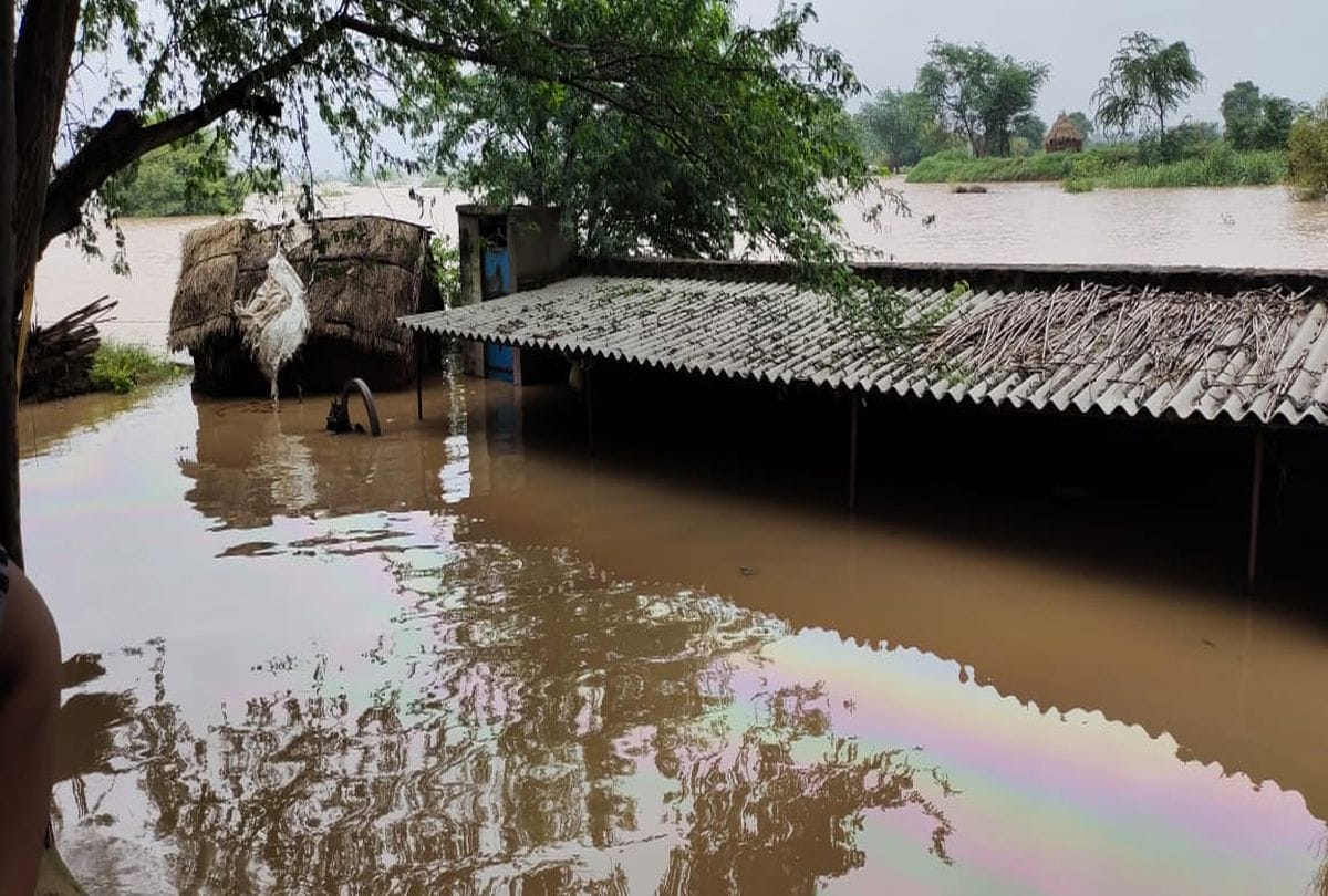 Chambal River Water Lavel Rached At Danger Demands For Ndrf