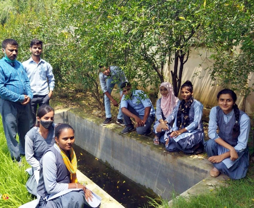 Students conserve Indian Bull Frog