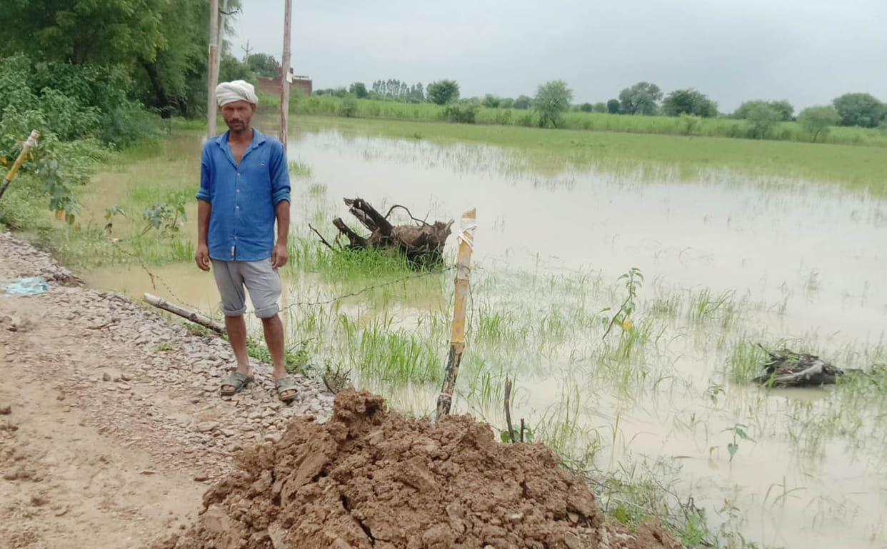 civic,agricultural,hamirpur