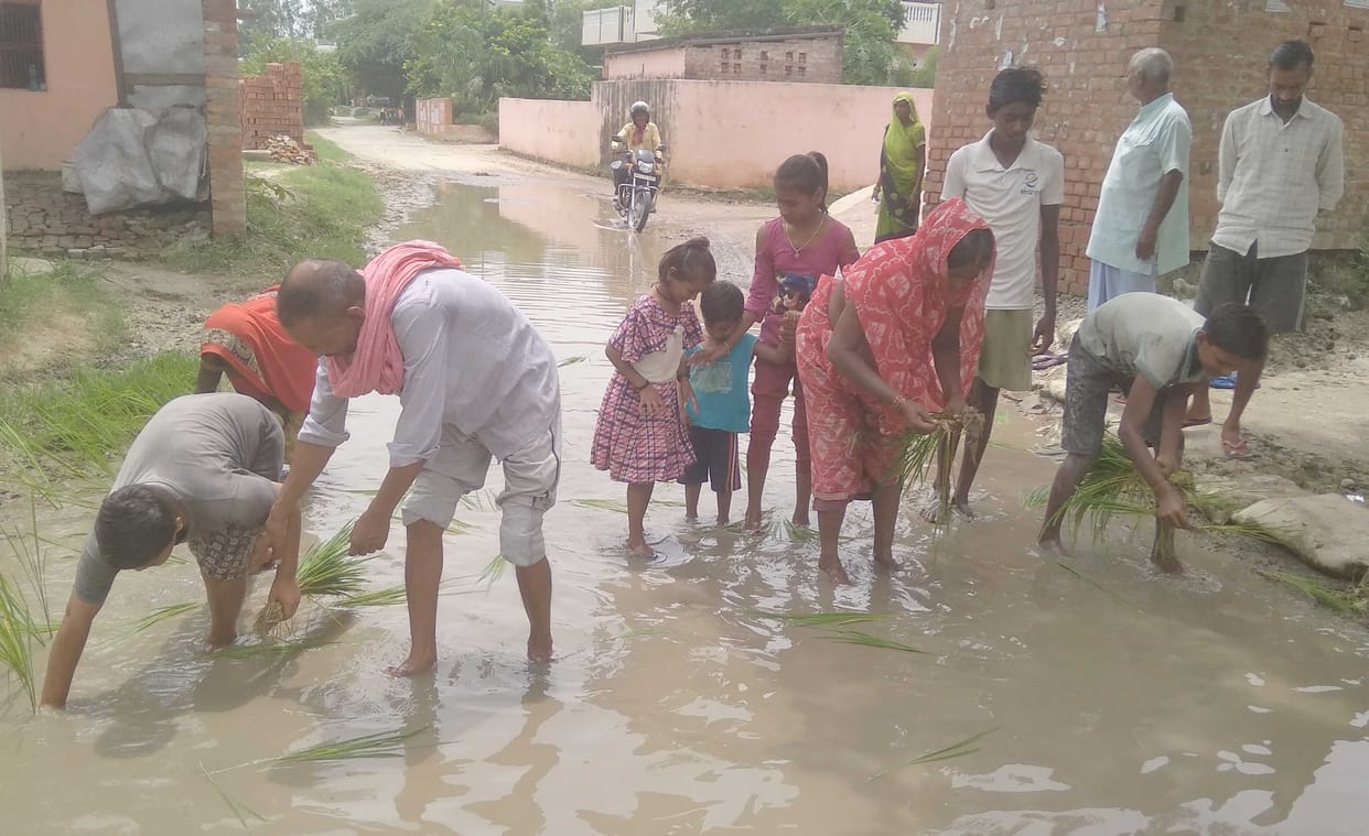 Villagers protested by planting paddy on the road