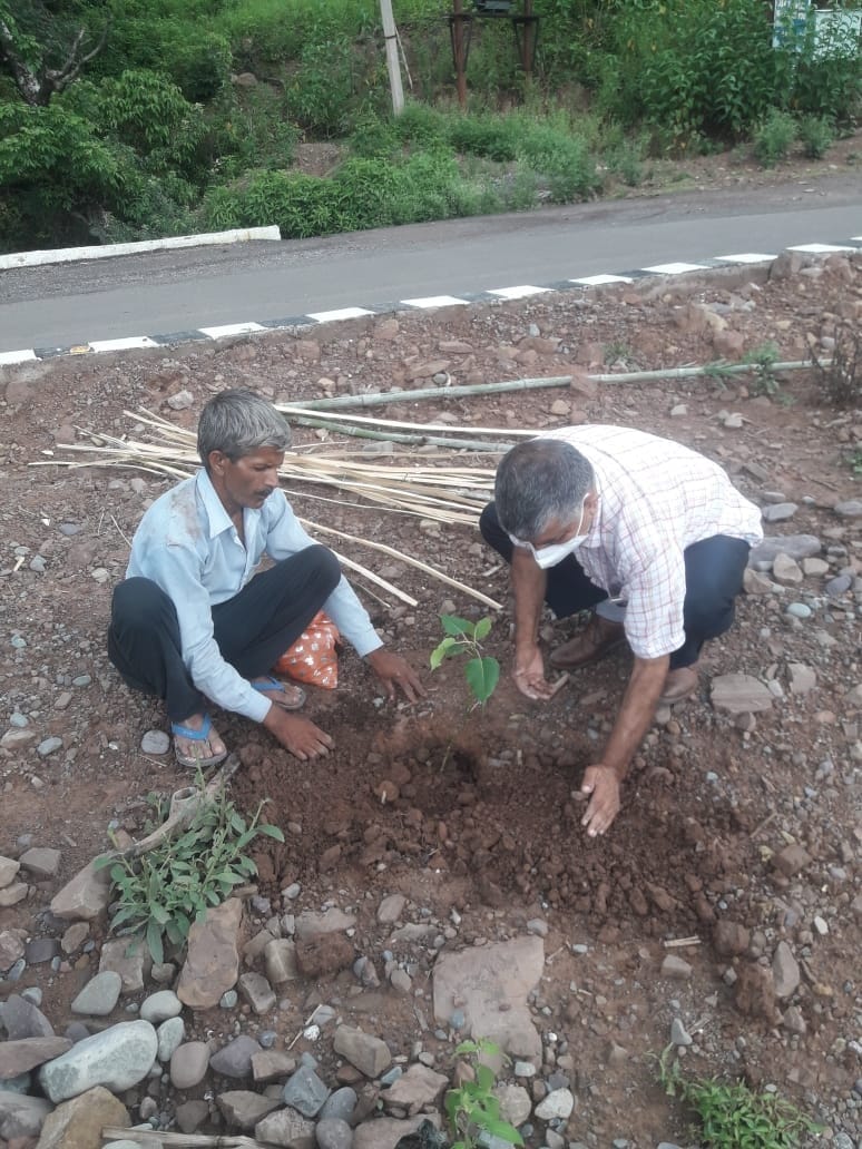 Plantation drive