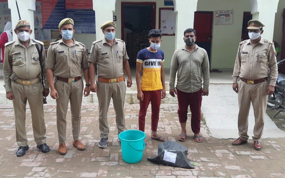 Two brothers arrested for smuggling turtles