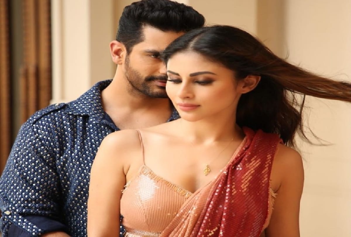 Mouni Roy in shaded pink sequin saree see pic