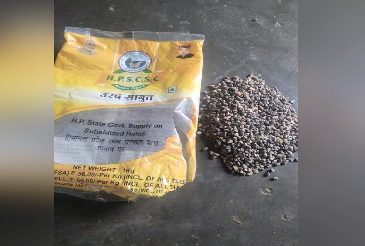 Question on quality:  100 to 150 grams of pebbles found in one kg of urad dal