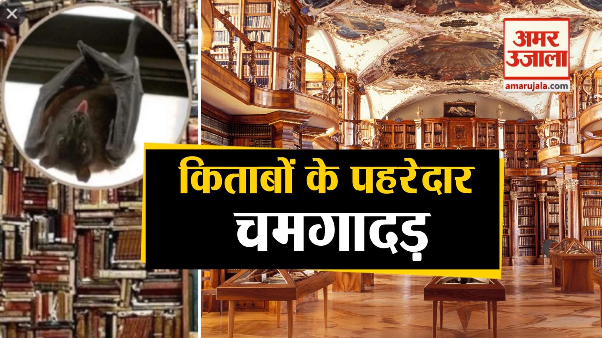 पुर्तगाल