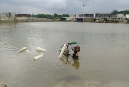 डॉग शेल्टर होम में भरा पानी