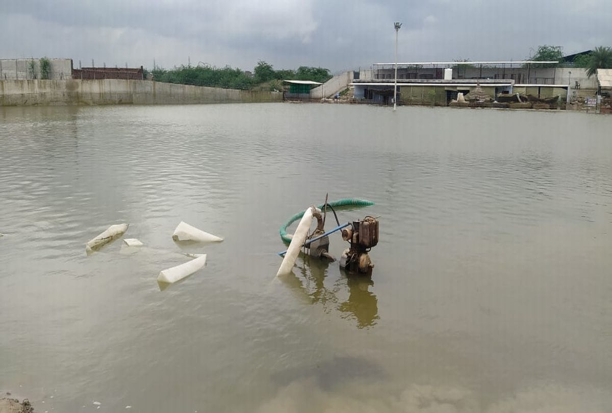 Water Logging In Dog's Shelter Home Protest At Agra Nagar Nigam