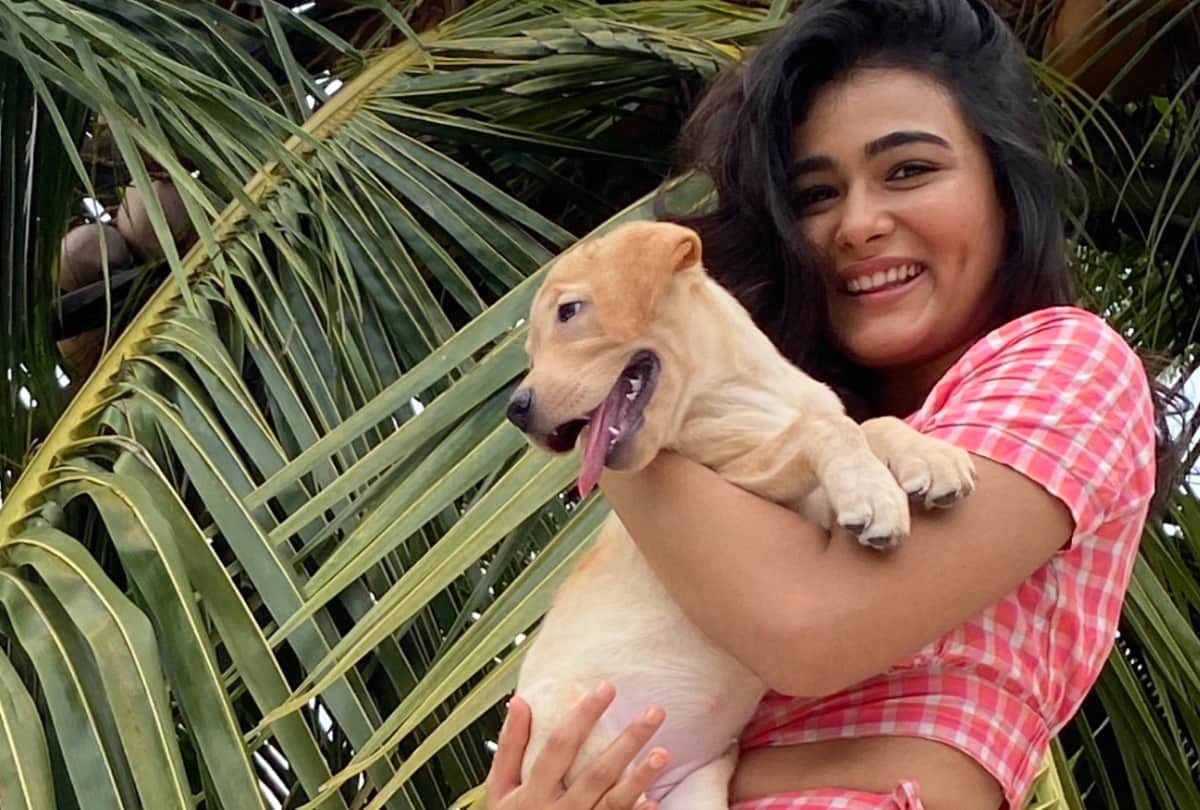 Jayeshbhai Jordaar Actress Shalini Pandey Impress everyone with her new look