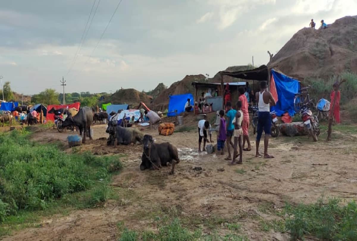 chambal river flood villagers migrated due to flood in agra