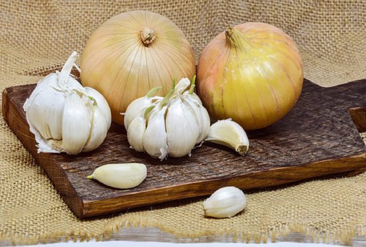 Shardiya Navratri 2022 Why We Don't Eat Onion And Garlic In Navratri Know Story Behind It In Hindi