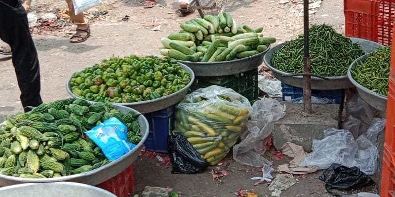 Harvesting of vegetables due to rain, prices doubled