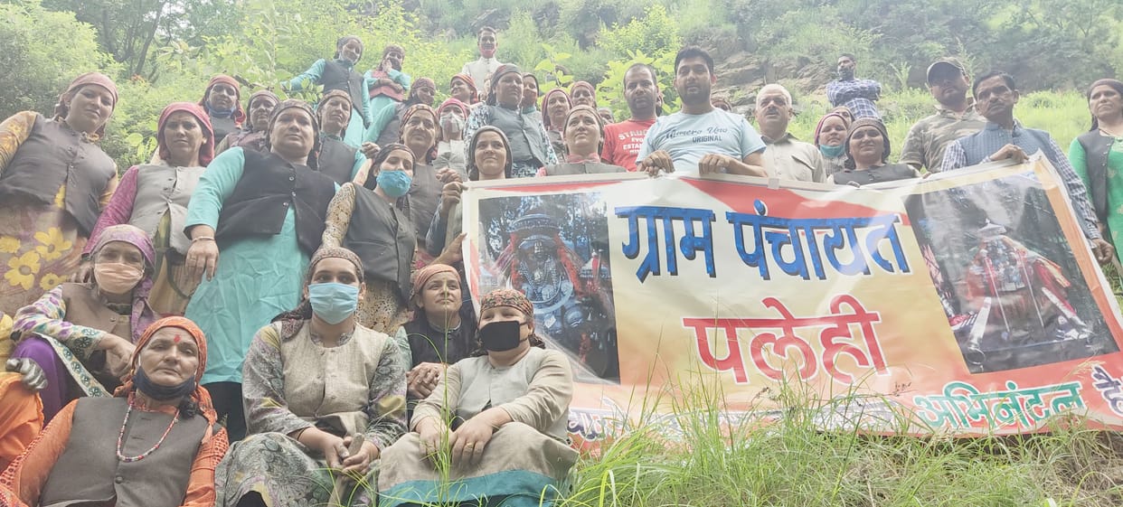women plant tree in plehi nither kullu