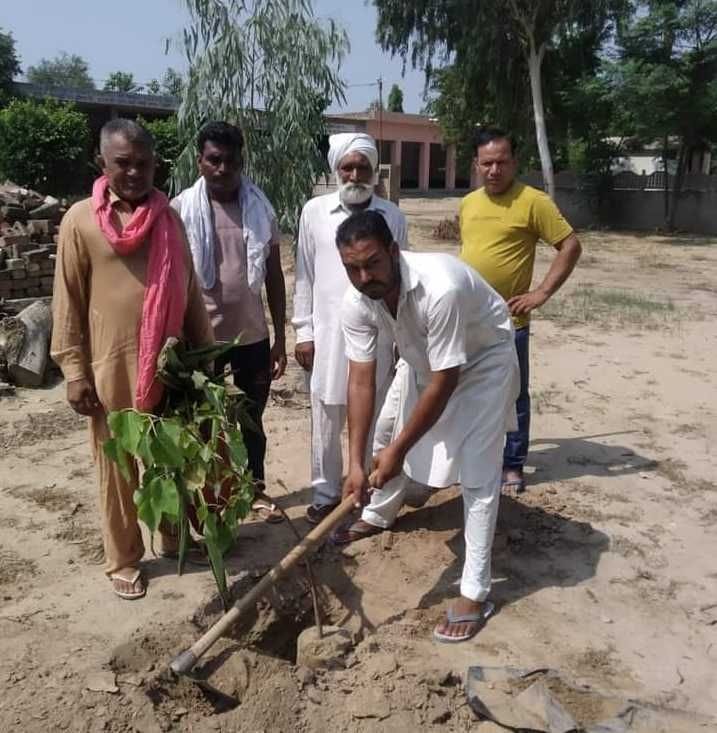 Target to plant 18 lakh 34 thousand saplings in the district, 3 lakh 6 thousand have been planted