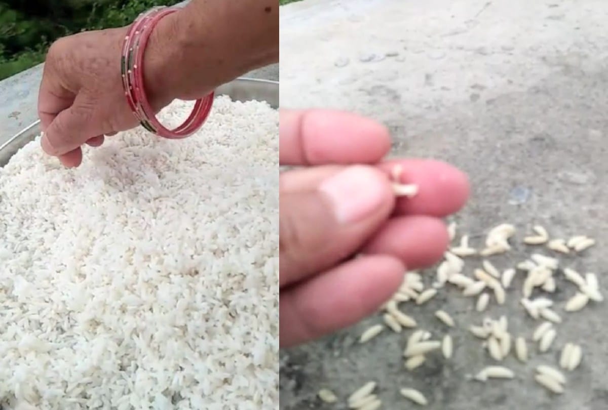 The cheap rice of govt ration  depot turned out to be fake, floating in the water