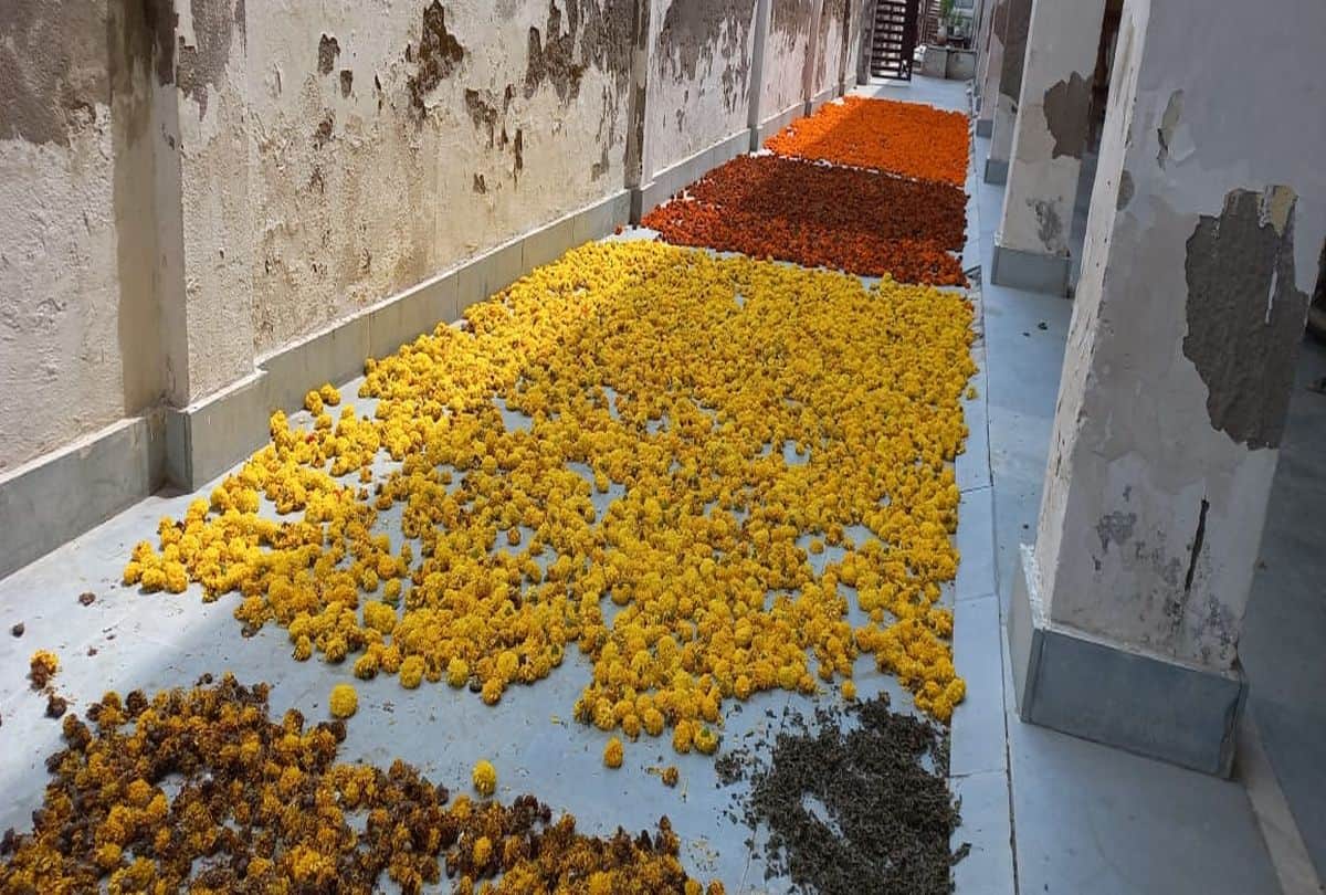 Widow women making incense sticks with flowers offered in Banke Bihari temple in Vrindavan