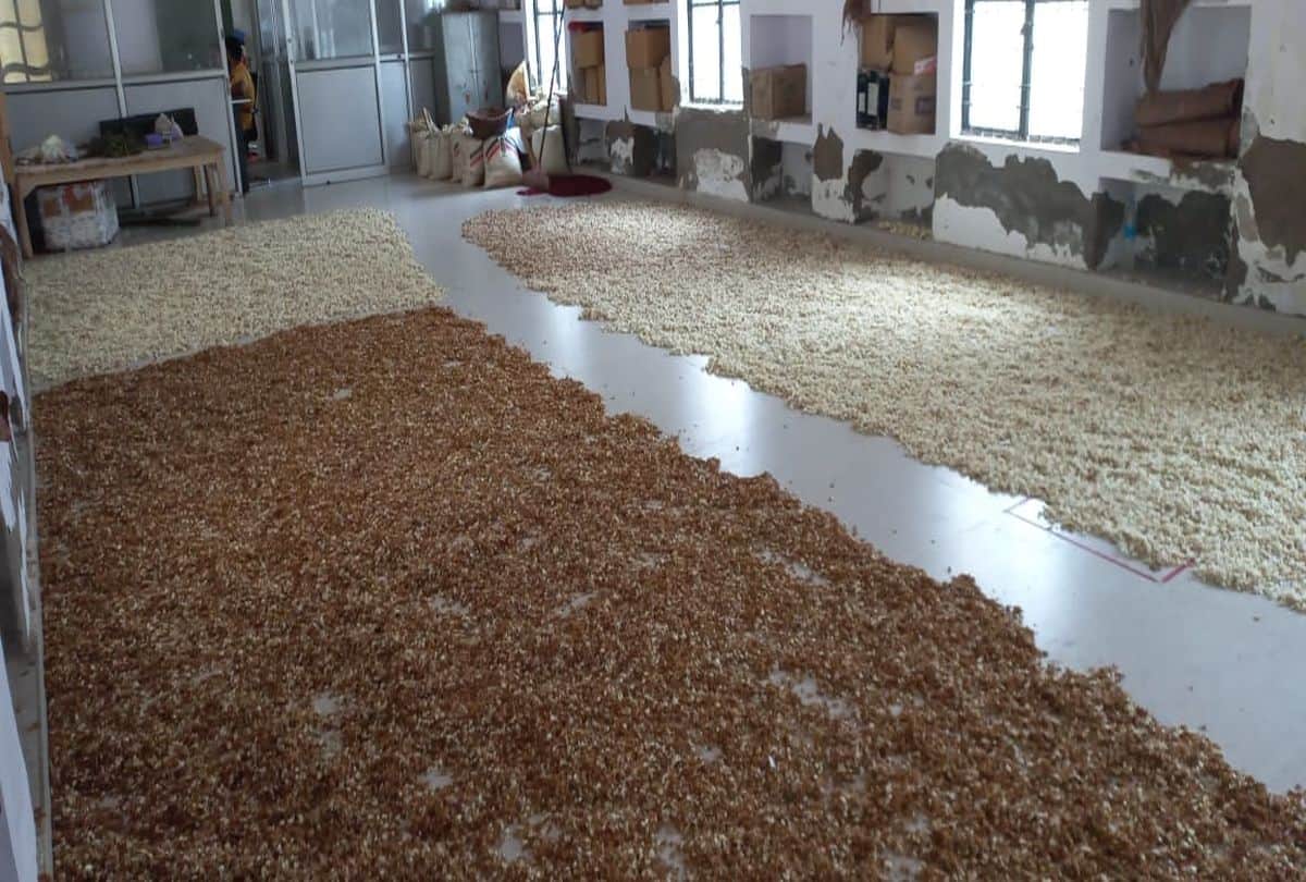 Widow women making incense sticks with flowers offered in Banke Bihari temple in Vrindavan