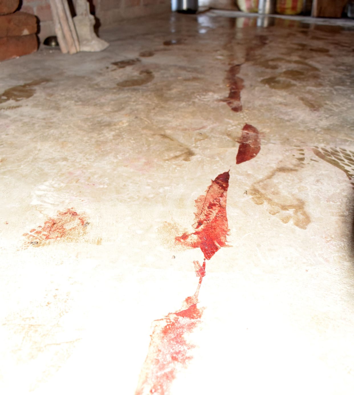 crime,hardoi,murder,hardoi news