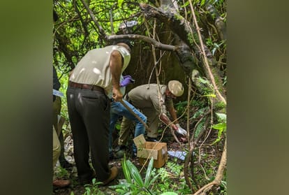 forest department installed only two cages to catch the leopard in kanlog
