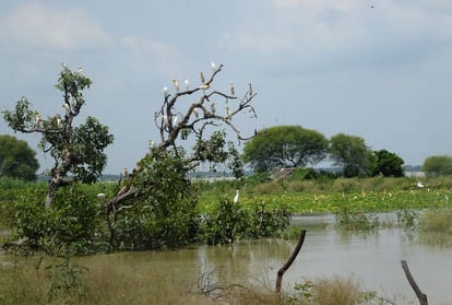 Ganga-Yamuna water level continues to rise, people flee due to water filling in the settlement
