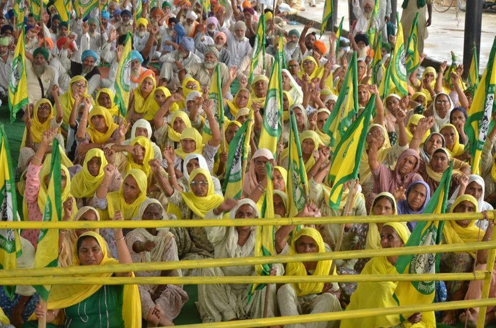 jhajjar bahadurgarh news,The coming of 50 MPs to the farmers' parliament was a big success of the movement: Amarjeet