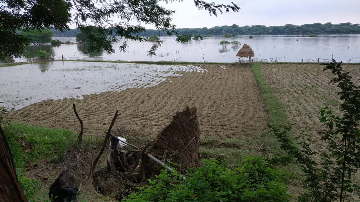 etawah news,After two days of relief, again disaster in Chambal
