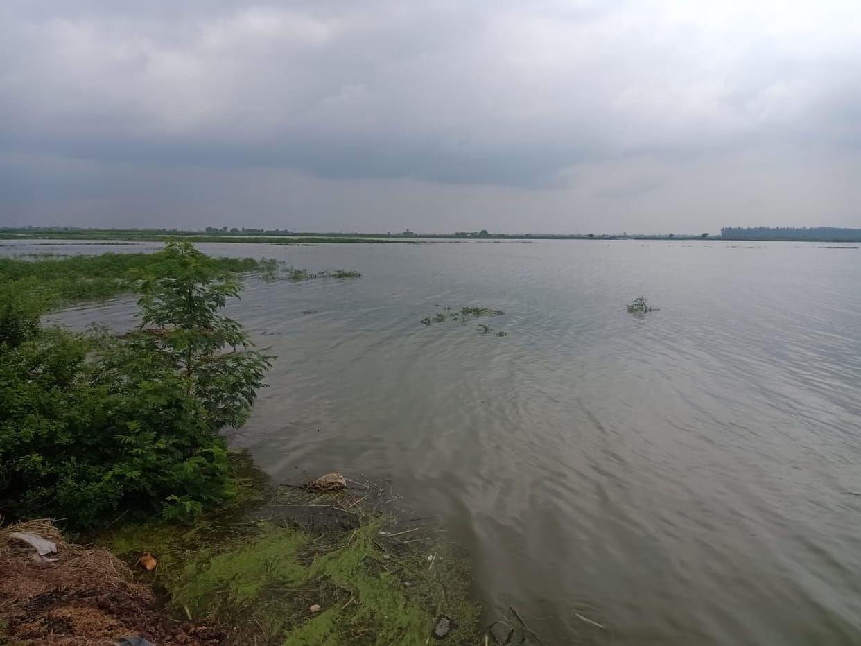 Ganga flowing half a meter below the danger mark