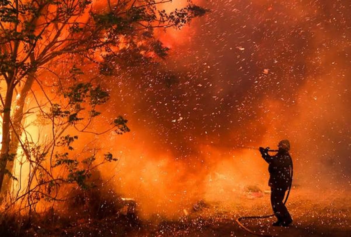 South Central Chile Forest Fires Provoke State of Emergency News in Hindi