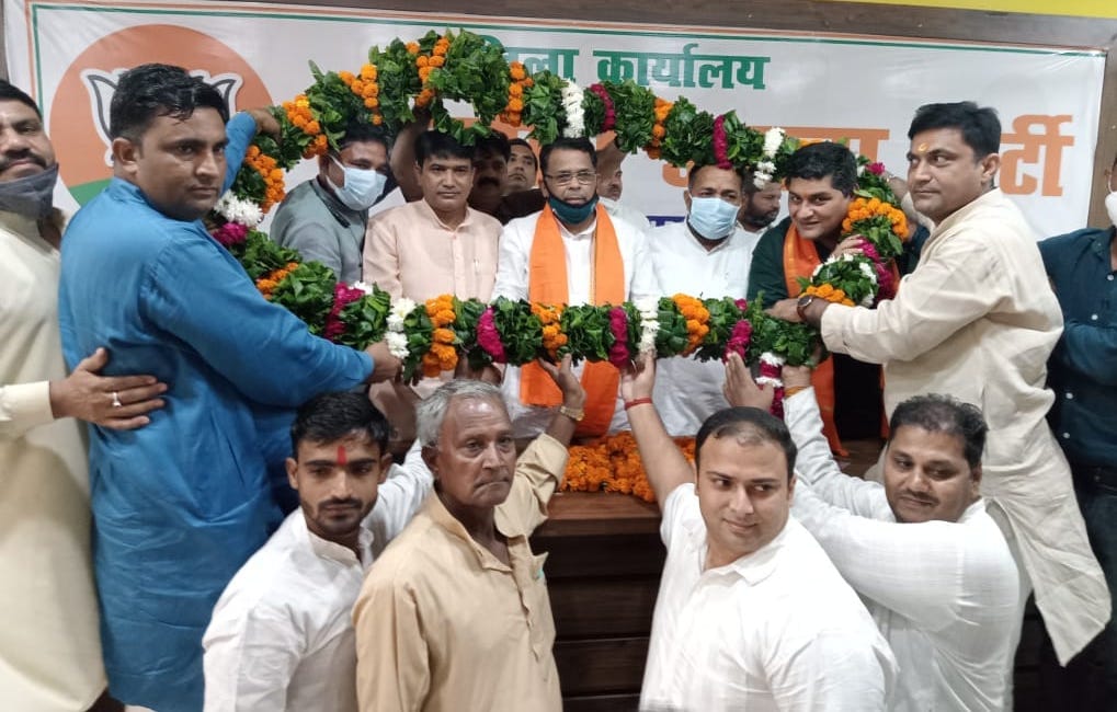 'BJP will come with absolute majority in Vis elections'