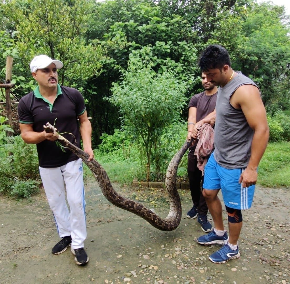 Nine feet python found in Bhaleth, teacher rescued