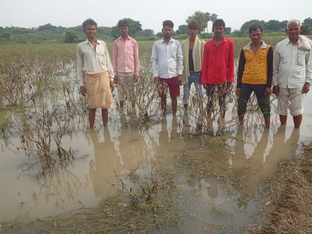Water level in Arind river increased due to rain, water entered the fields