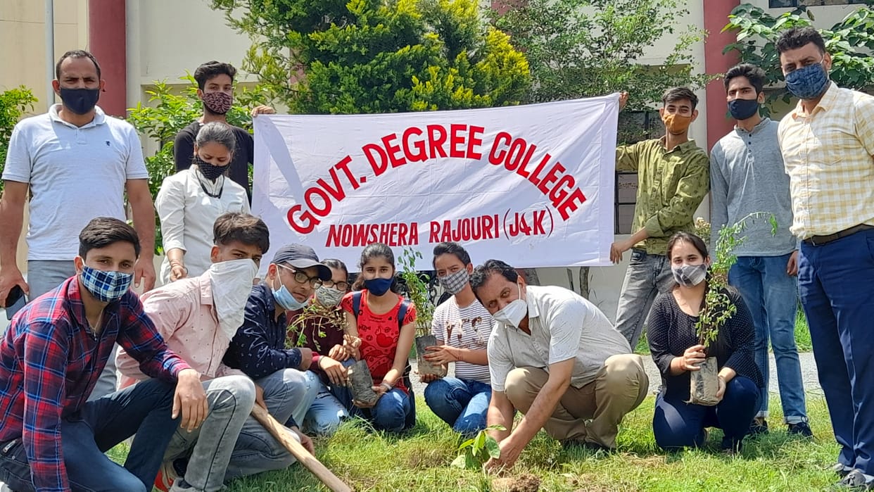 Plantation drive