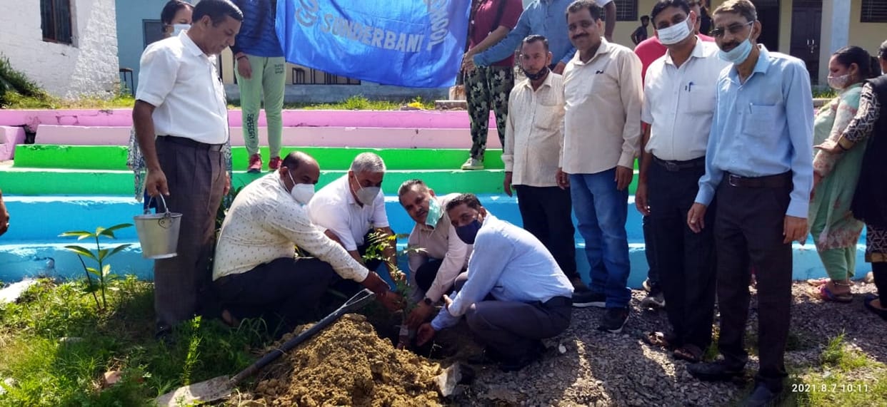 Plantation drive