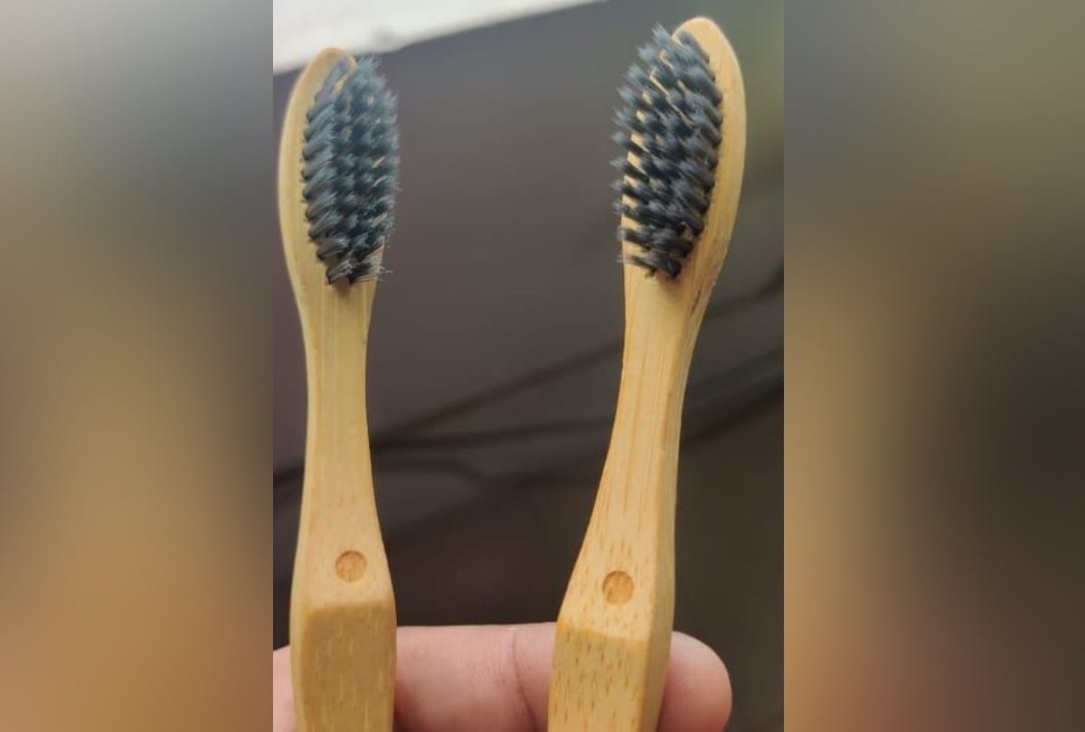 national bamboo mission:  bamboo toothbrush industry plant in una himachal pradesh