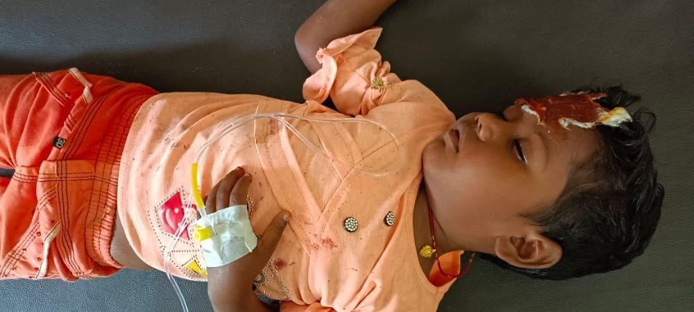 two boys died in road accident, girl injured