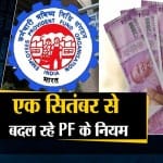 दनादन