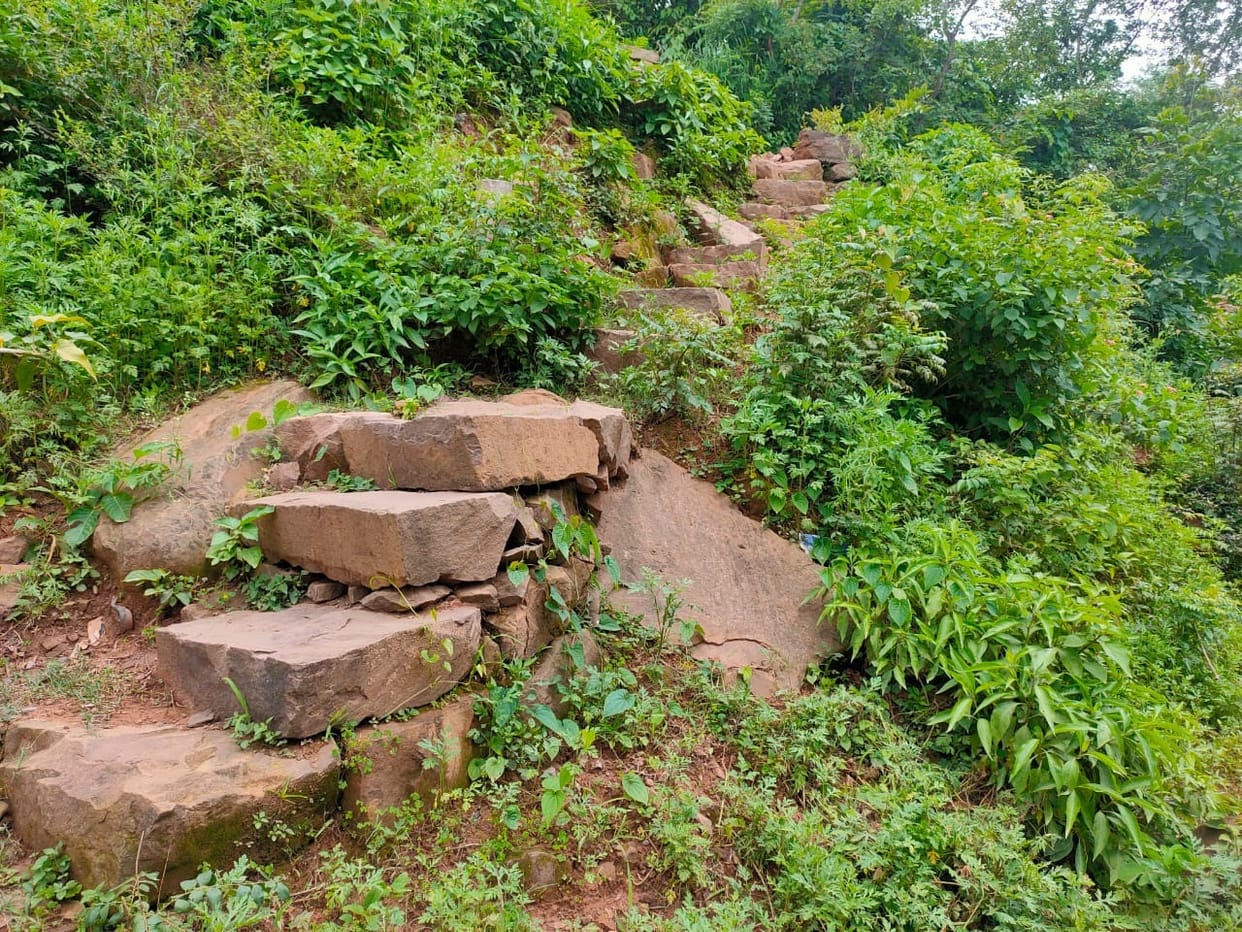 Basic amenities
