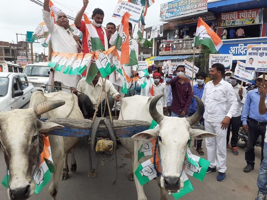 Congressmen demonstrated by riding on bullock cart