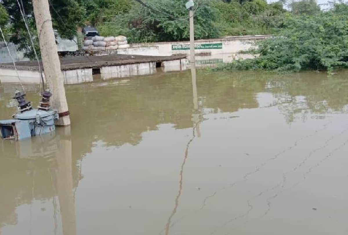 chambal river flood updates: crocodiles reached in ponds near villages in agra