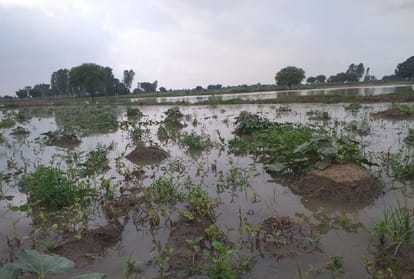 Kaushambi: Yamuna crossed the danger mark, the village of became an island