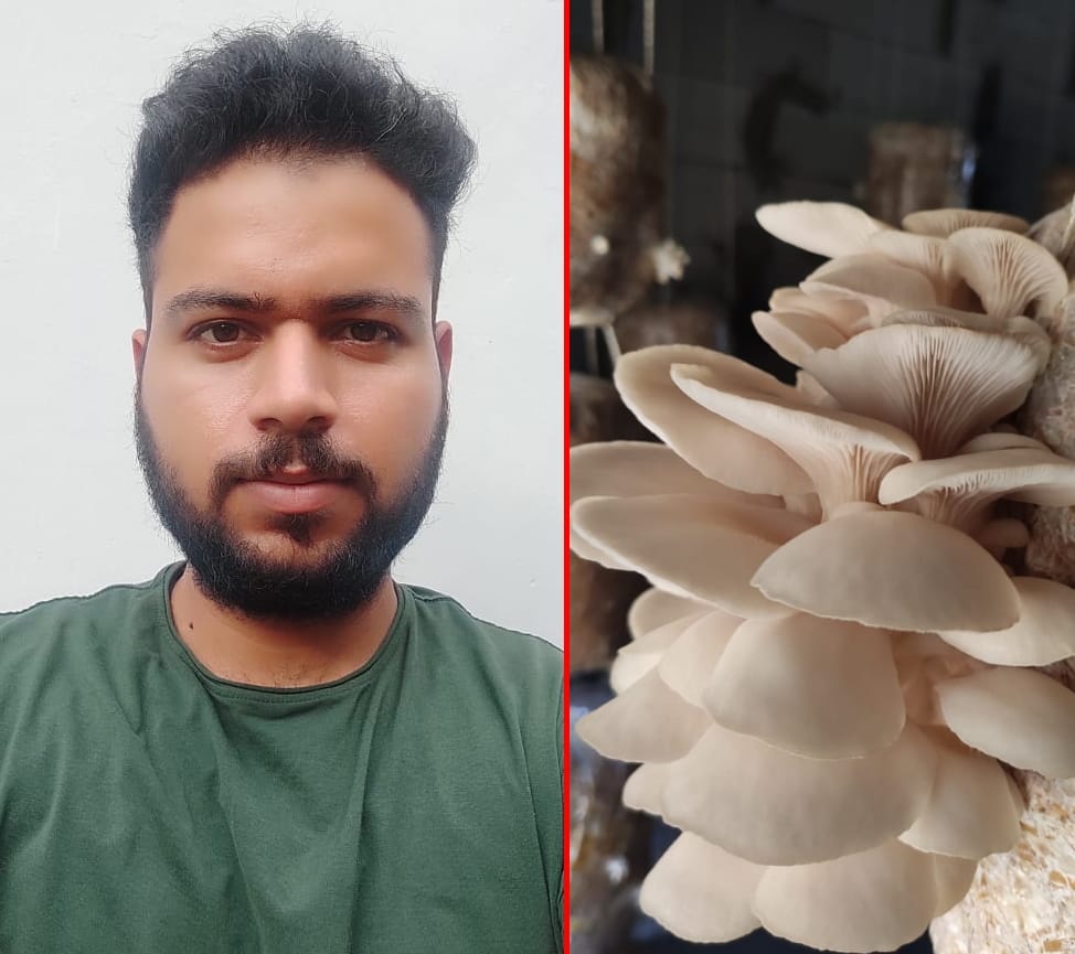 uttarakhand news: Leave Metro City job and become self independent from mushroom production, PM Modi praised