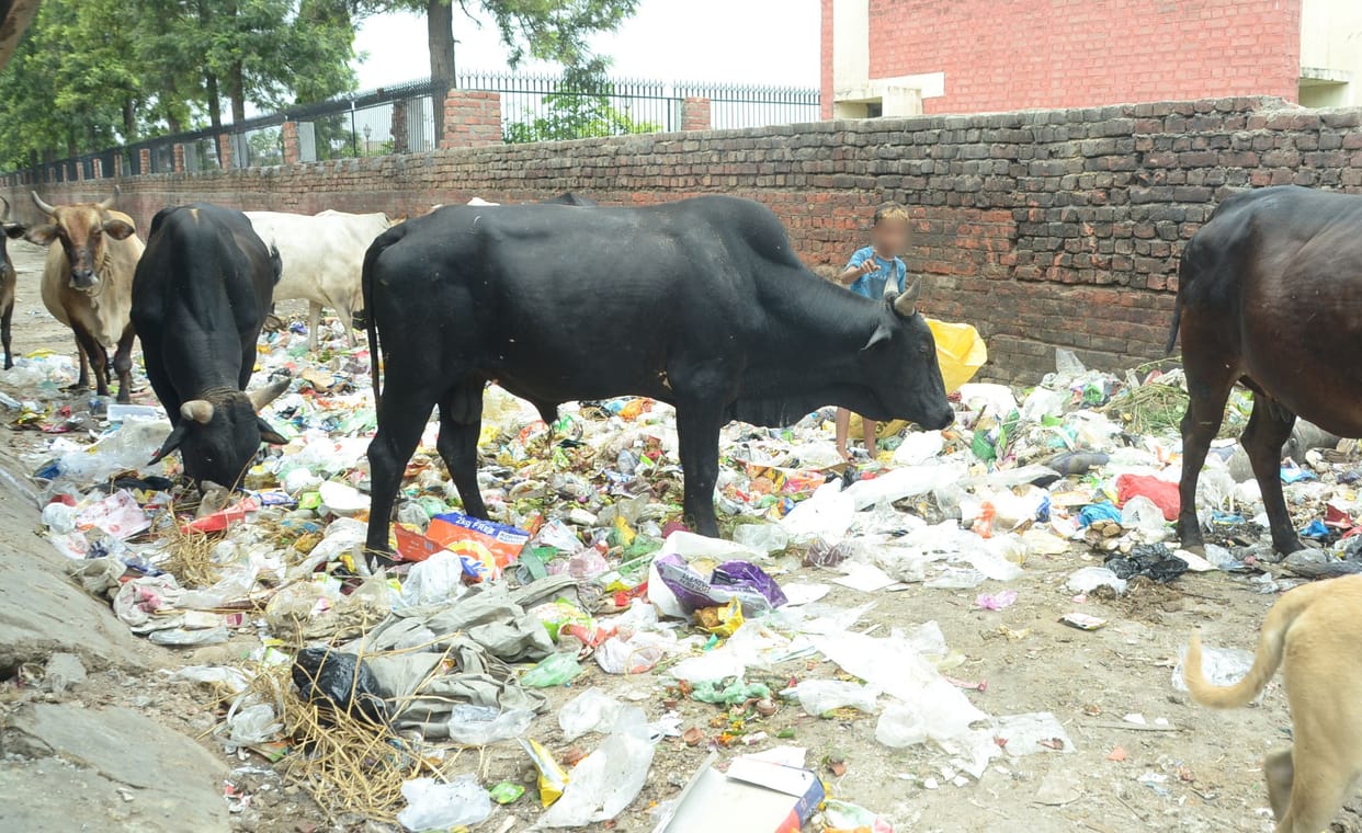 The plan to transport garbage out of the city failed, the city is getting dirty due to the piles of garbage at the dumping points.