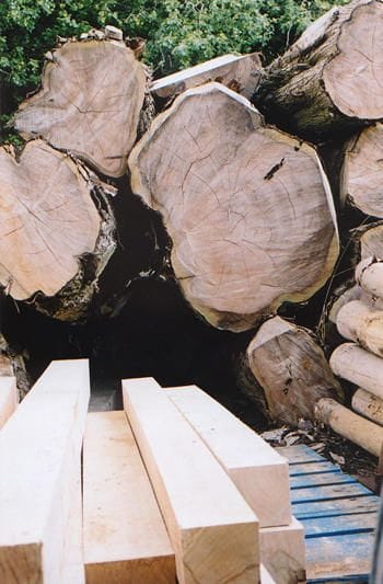 Smugling of Wood in Tanakpur