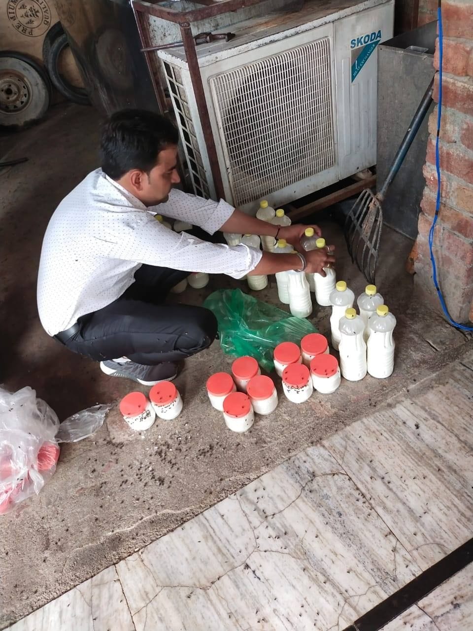 Milk was being prepared at home with urea and glucose