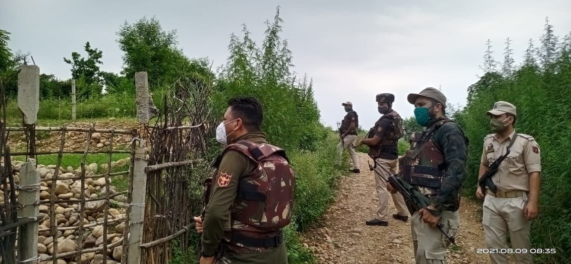 militenci news