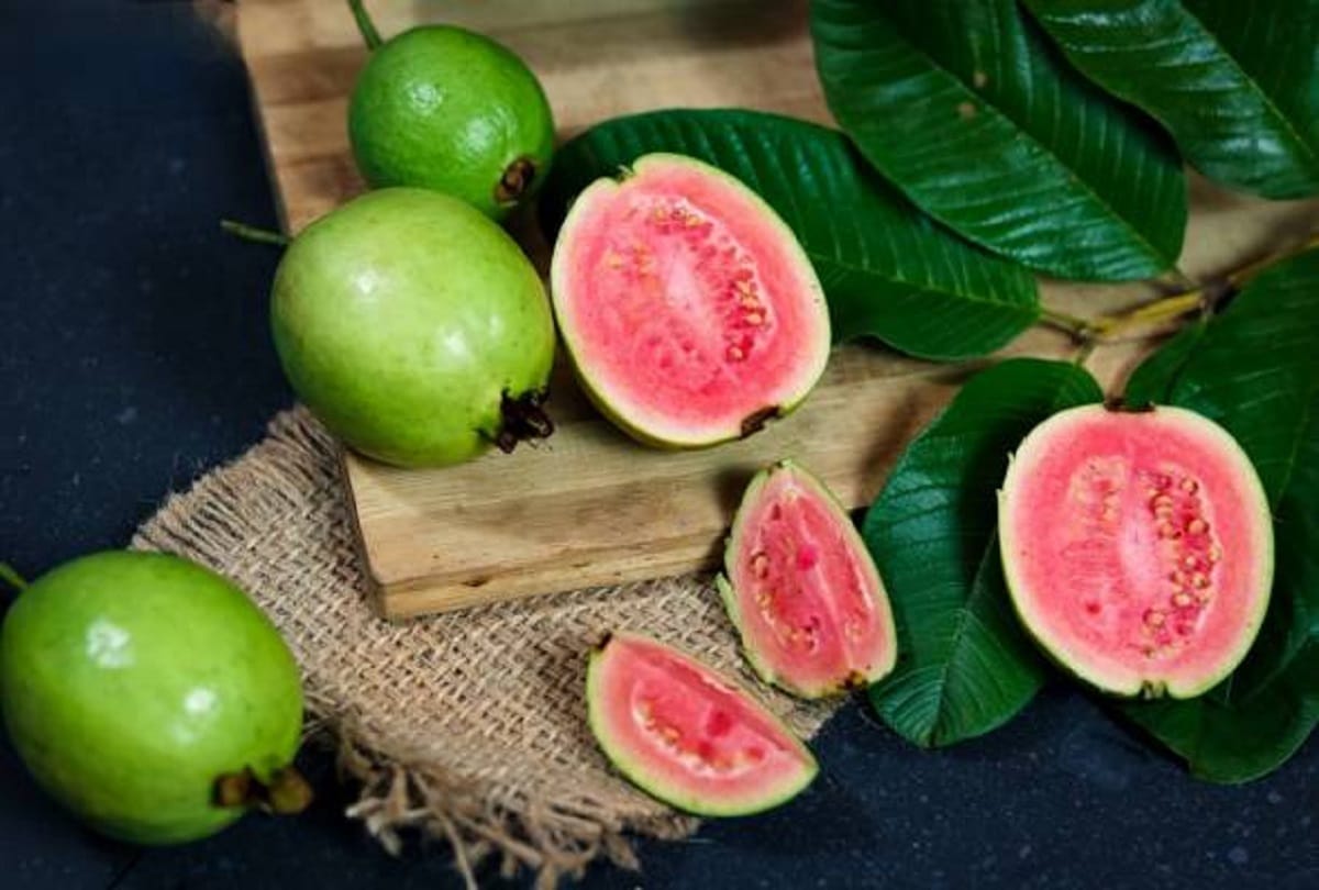 guava side effects who should avoid eating amrood ke nuksan