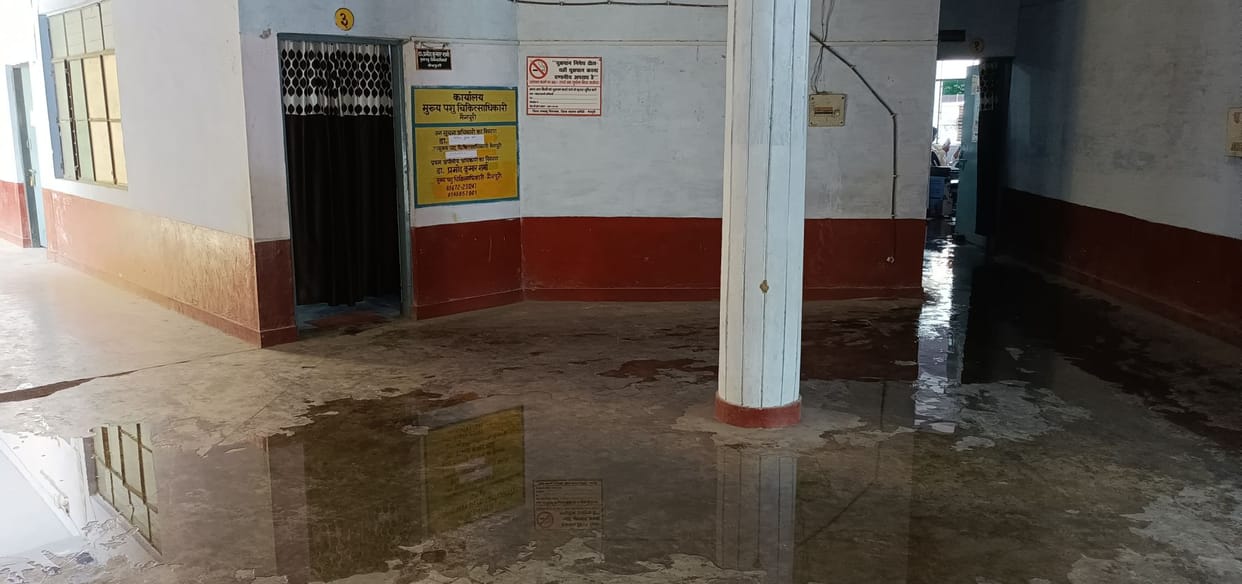 Computers and records damaged by dripping water in CVO office